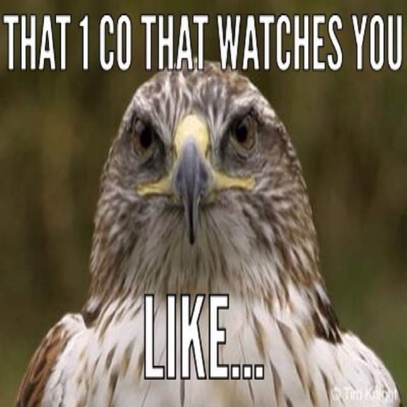 Meet your Posher, Amanda - Picture 1 of 1